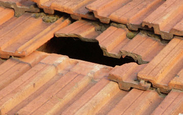 roof repair Boltshope Park, County Durham