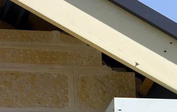soffit repair Boltshope Park